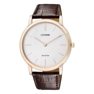 CITIZEN Men Solar Powered Watch