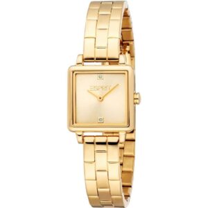 Quartz Wristwatch / ES1L498M0035